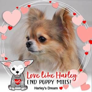 Meet your Posher, Sue